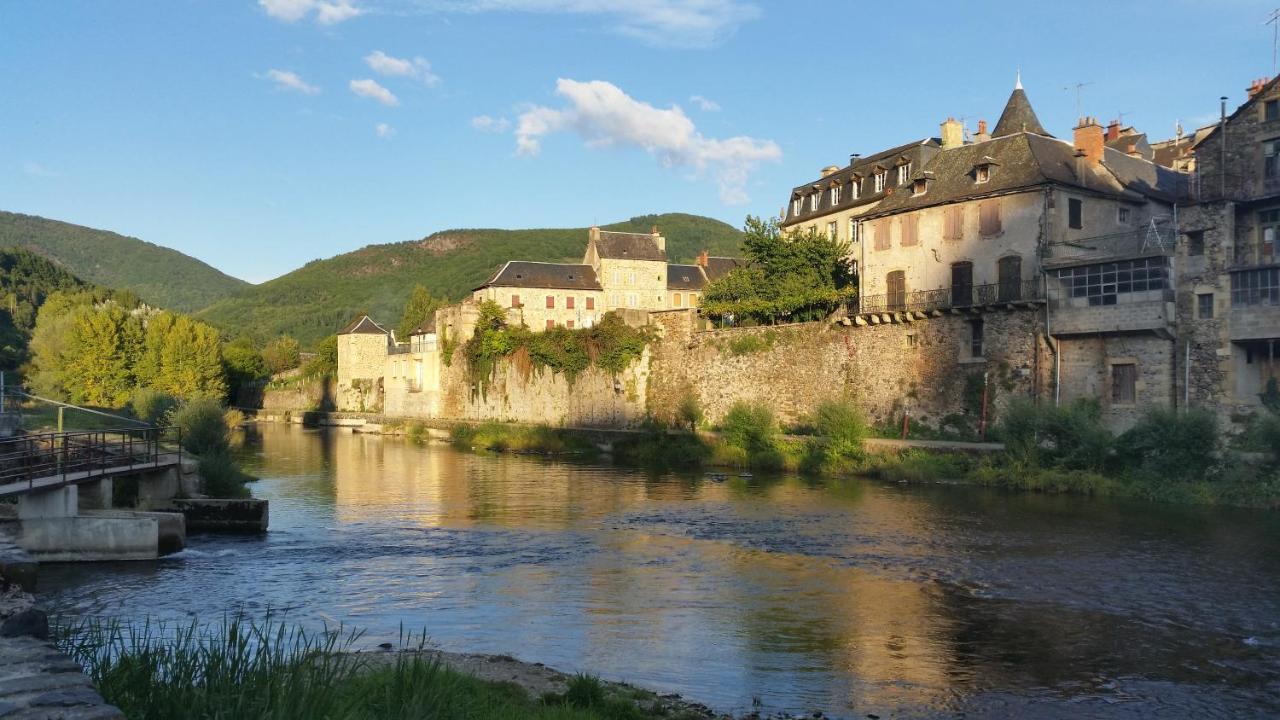 Chateau Ricard Saint-Geniez-dʼOlt Екстериор снимка