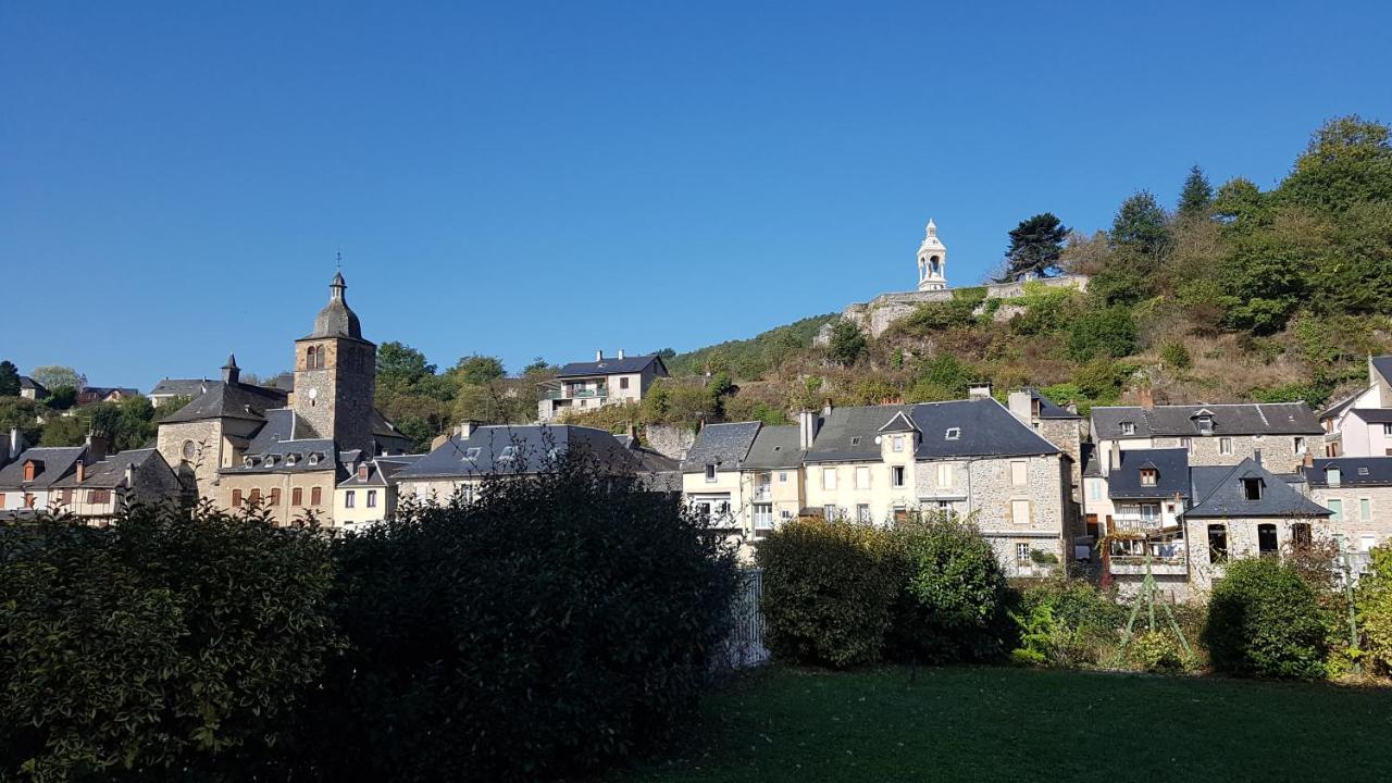Chateau Ricard Saint-Geniez-dʼOlt Екстериор снимка
