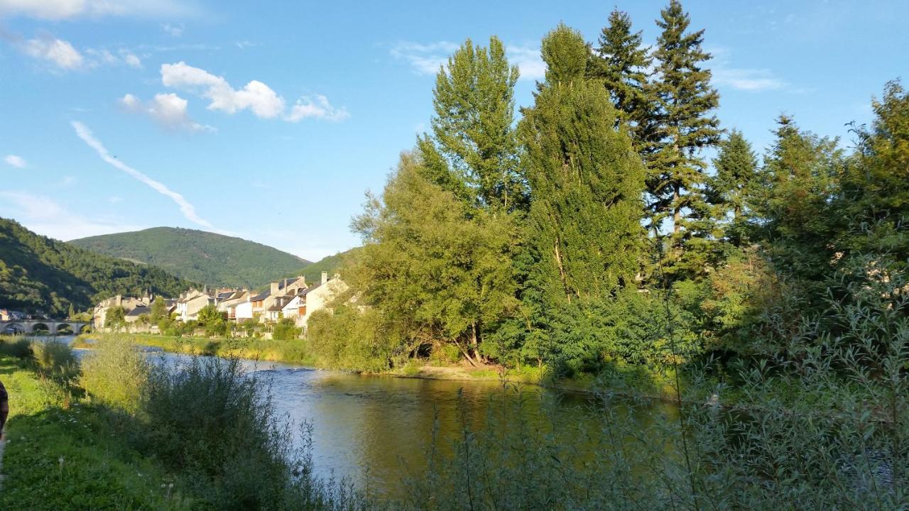 Chateau Ricard Saint-Geniez-dʼOlt Екстериор снимка
