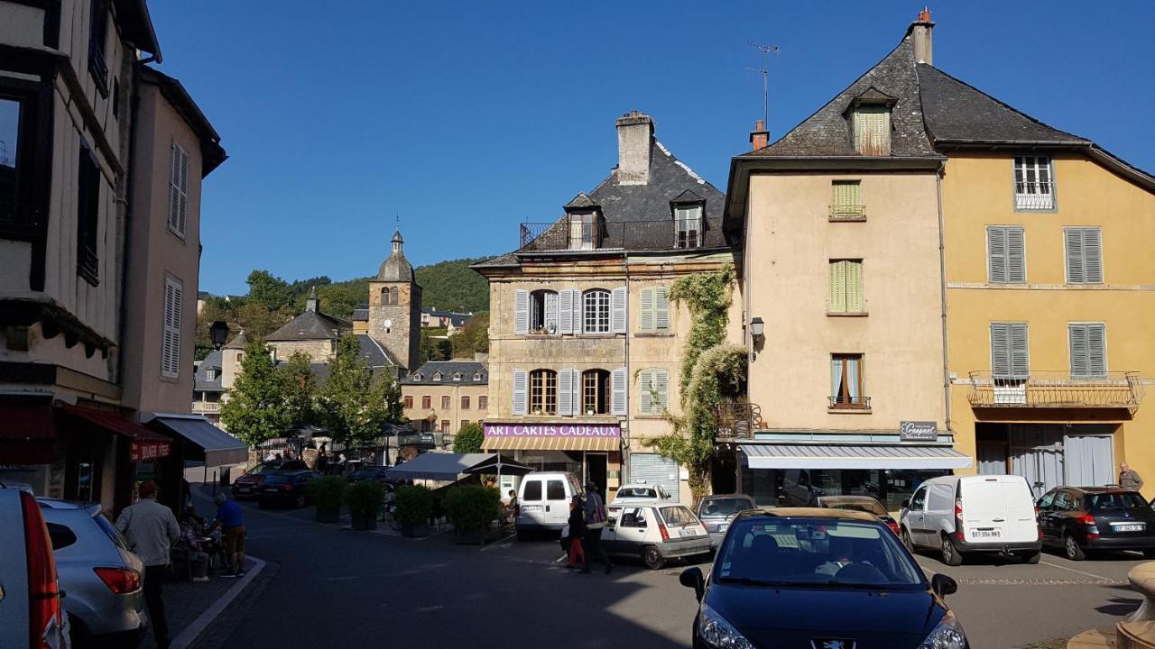 Chateau Ricard Saint-Geniez-dʼOlt Екстериор снимка